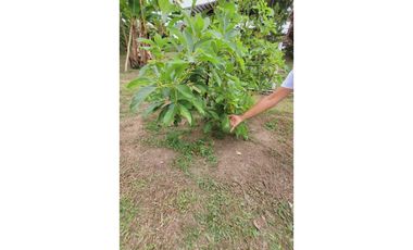 VENTA DE CASA CAMPESTRE EL CAIMO ARMENIA