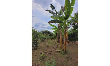 VENTA DE CASA CAMPESTRE EL CAIMO ARMENIA