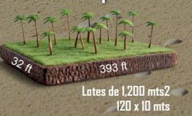 EN VENTA TERRENOS MAHAHUAL, FRENTE AL MAR DE 1.200MTS2