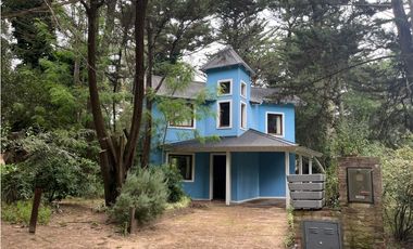 Halcon casa Azul