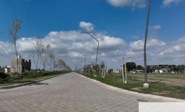 Terreno / Lote en venta de 300m2 ubicado en Pueblo Esther