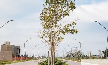 Terreno / Lote en venta de 300m2 ubicado en Pueblo Esther