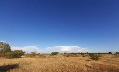 Parcela en venta en LINARES