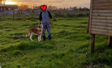 Parcela en venta en LINARES