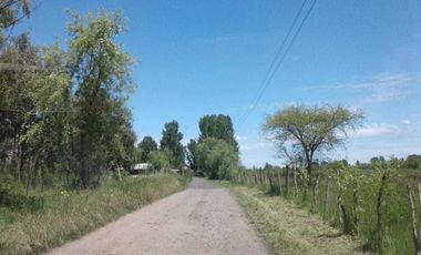 Parcela en venta en LINARES