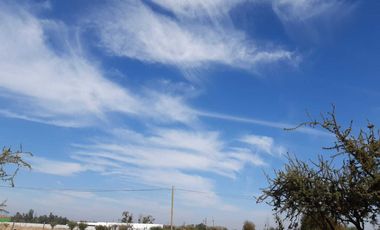 Parcela en venta en LINARES