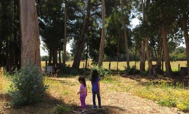 Casa en arriendo en FREIRE