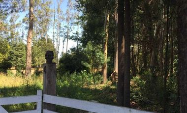 Casa en arriendo en FREIRE