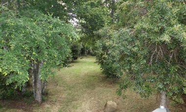 Casa en arriendo en VILLARRICA