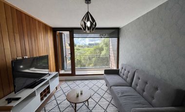 Departamento en arriendo en PUERTO VARAS