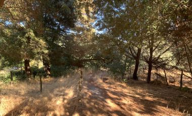 Parcela en venta en YUMBEL