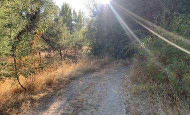 Parcela en venta en YUMBEL