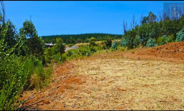 Parcela en venta en SANTA JUANA