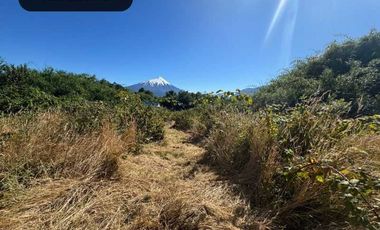 Parcela en venta  en PUERTO VARAS