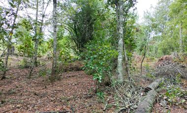 Parcela en venta en VILLARRICA