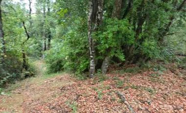 Parcela en venta en VILLARRICA