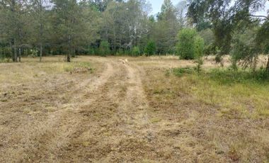Parcela en venta en VILLARRICA