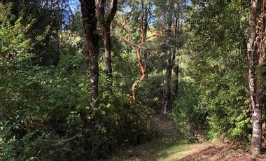 Parcela en venta en VILLARRICA