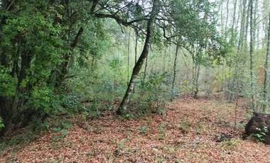 Parcela en venta en VILLARRICA