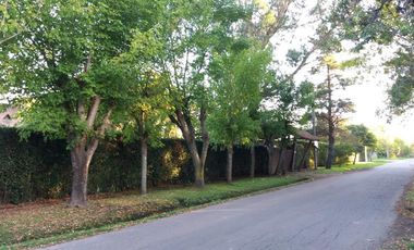 Casa en Venta en 411 / 28 y 29 Villa Elisa - Alberto Dacal Propiedades