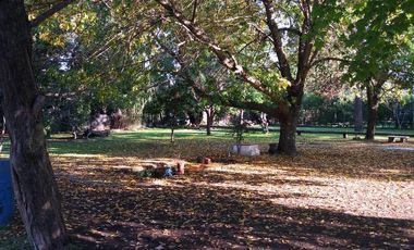 Casa en Venta en 411 / 28 y 29 Villa Elisa - Alberto Dacal Propiedades