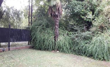 Casa - Luis Guillon