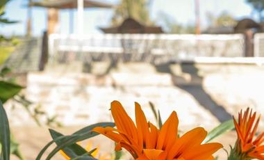 Edificio Comercial / complejo turístico en venta Gualeguaychu