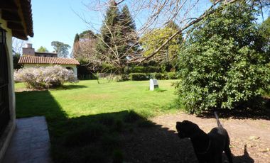 Casa en venta en Villa Elisa