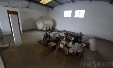 Nave Industrial con oficinas - Venta y Alquiler - Villa Martelli Vicente López