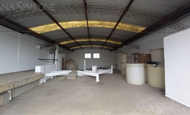 Nave Industrial con oficinas - Venta y Alquiler - Villa Martelli Vicente López
