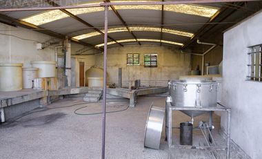 Nave Industrial con oficinas - Venta y Alquiler - Villa Martelli Vicente López