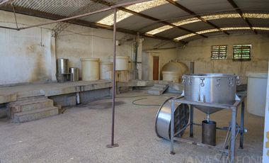 Nave Industrial con oficinas - Venta y Alquiler - Villa Martelli Vicente López