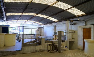 Nave Industrial con oficinas - Venta y Alquiler - Villa Martelli Vicente López
