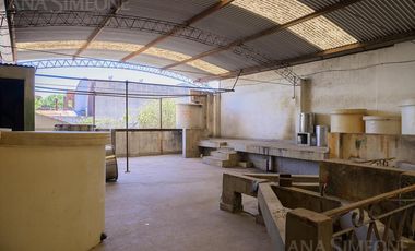 Nave Industrial con oficinas - Venta y Alquiler - Villa Martelli Vicente López