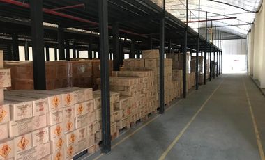 Venta y Alquiler - Nave Industrial - Villa Rosa