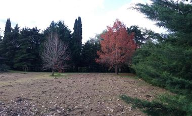 Casa en Venta en 419/  137bis Y 138 Villa Elisa - Alberto Dacal Propiedades