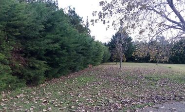 Casa en Venta en 419/  137bis Y 138 Villa Elisa - Alberto Dacal Propiedades