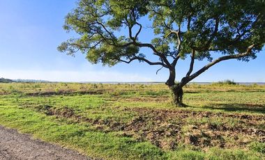 Venta Lotes en Playa Mansa - Arroyo Seco