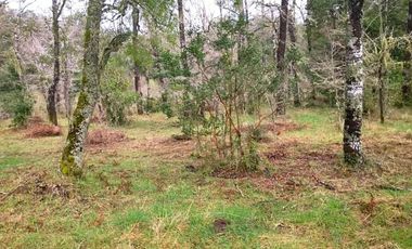 Sitio en venta de 500m2 ubicado en Curacautín