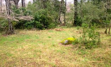 Sitio en venta de 500m2 ubicado en Curacautín