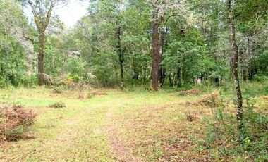 Sitio en venta de 500m2 ubicado en Curacautín