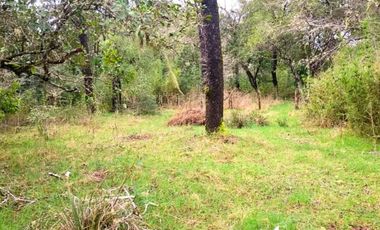 Sitio en venta de 500m2 ubicado en Curacautín