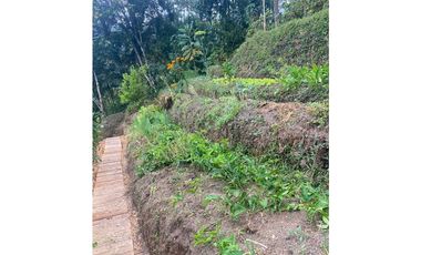 Casa Campestre en Caldas en Venta con huertos
