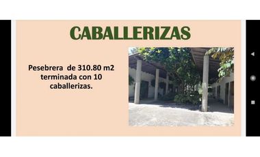 Hermosa finca en La Pintada para Reconstruir en Precio oportunidad