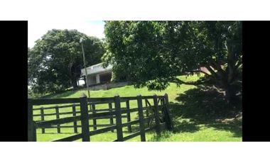 Hermosa finca en La Pintada para Reconstruir en Precio oportunidad