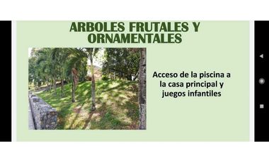 Hermosa finca en La Pintada para Reconstruir en Precio oportunidad