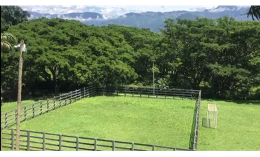 Hermosa finca en La Pintada para Reconstruir en Precio oportunidad