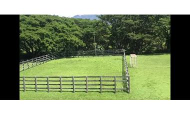 Hermosa finca en La Pintada para Reconstruir en Precio oportunidad