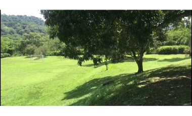 Hermosa finca en La Pintada para Reconstruir en Precio oportunidad