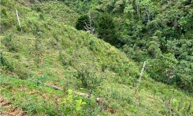 Lote con vivienda en el Retiro vereda Tabacal